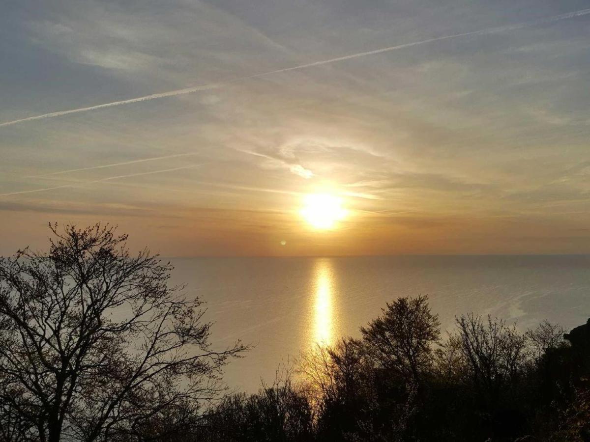 Babbacombe Palms Hotel Торки Екстериор снимка